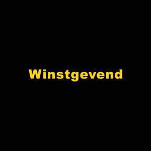 bespaar kosten op frituren